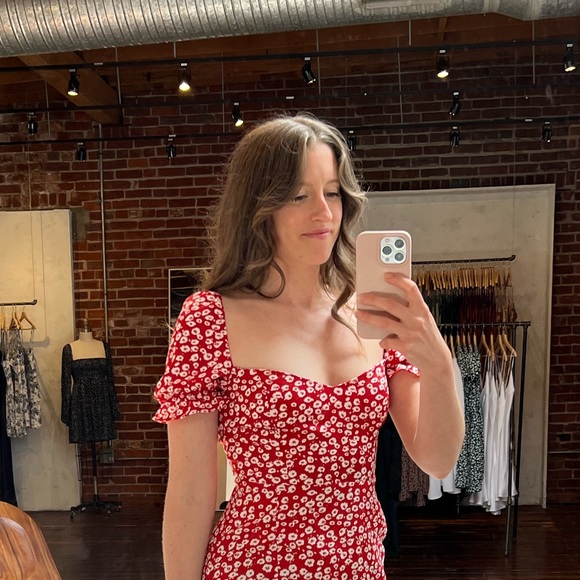alexemilycollie